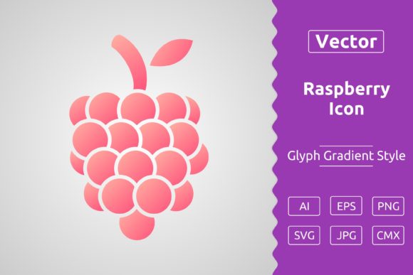 Vector Raspberry Gradient Icon